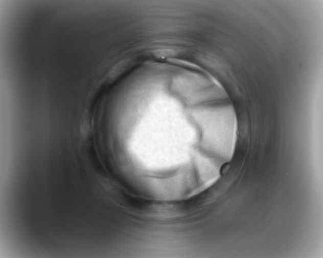 X0000088040367200706011328