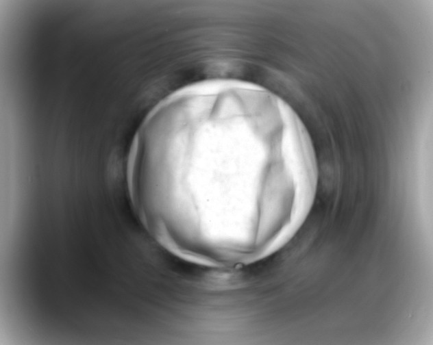 X0000088040375200706011328