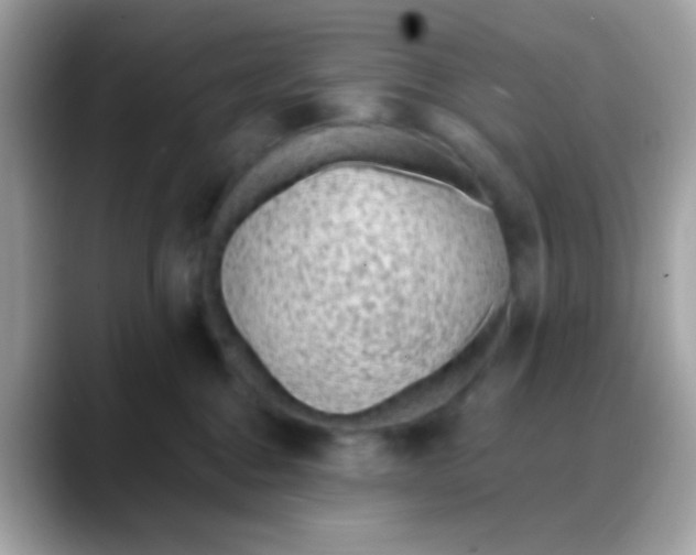 X0000088040376200706011328