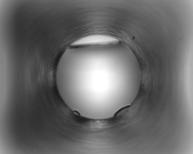 X0000088040378200706011328