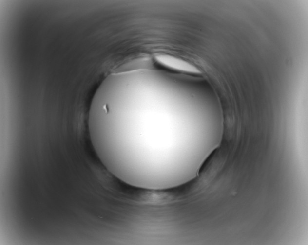 X0000088040379200706011328