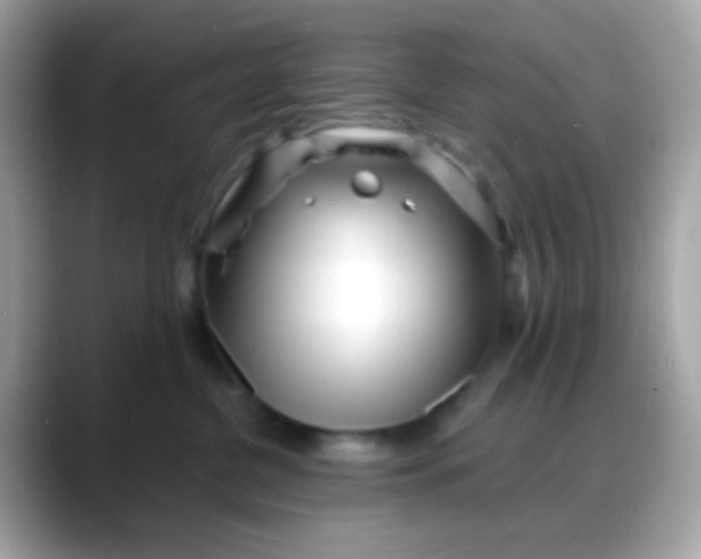 X0000088040380200706011328