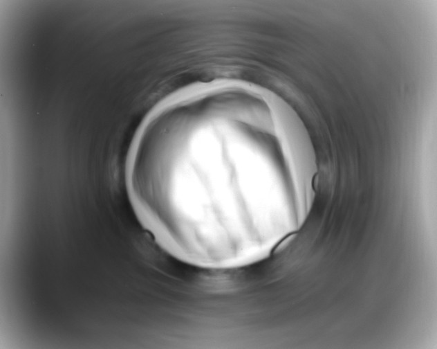 X0000088040381200706011328