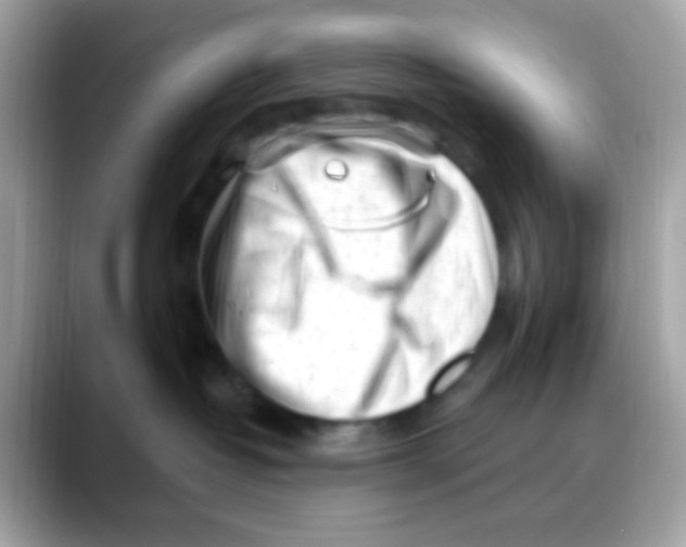 X0000088040382200706011328