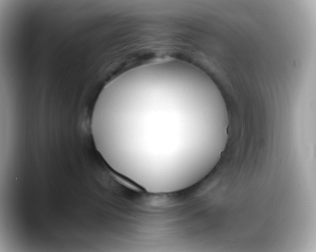 X0000088040384200706011328