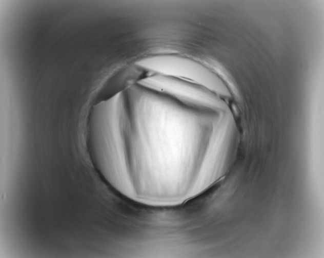 X0000088040385200706011328