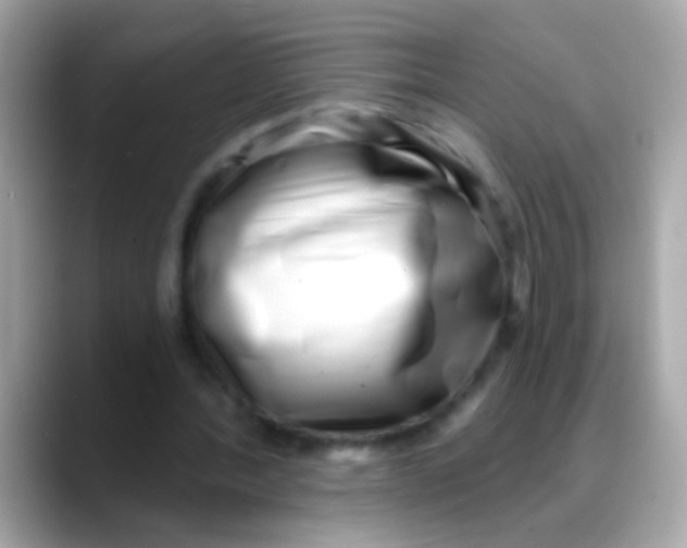 X0000088040388200706011328