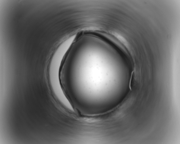 X0000088040389200706011328