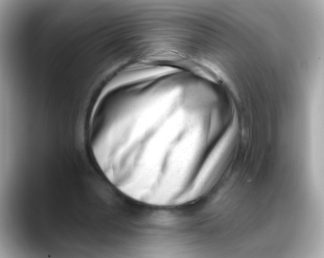 X0000088040390200706011328