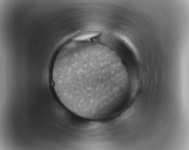 X0000088040391200706011328