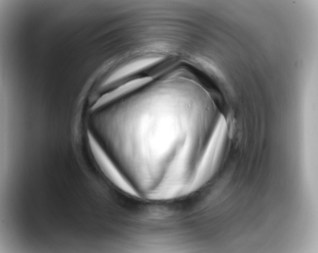 X0000088040392200706011328