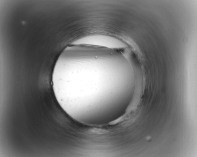 X0000088040393200706011328