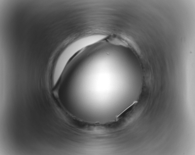 X0000088040395200706011328