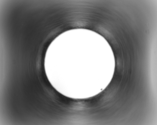 X0000088040396200706011328