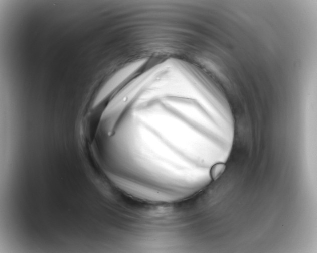 X0000088040398200706011328