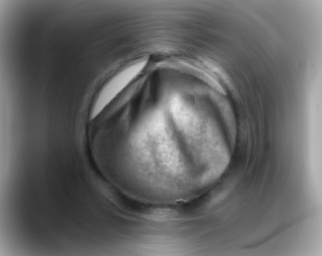 X0000088040399200706011328