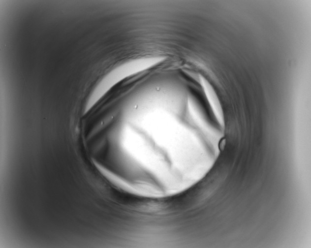 X0000088040402200706011328