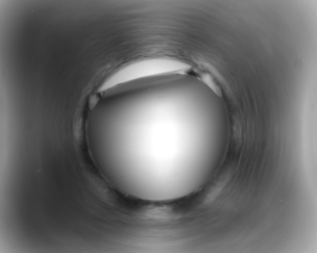 X0000088040403200706011328