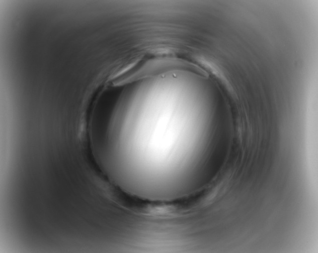 X0000088040407200706011328