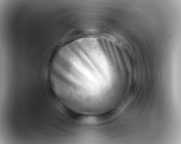 X0000088040409200706011328