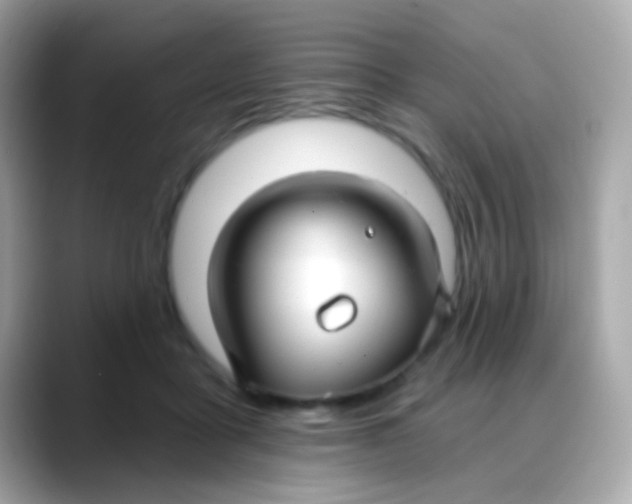 X0000088040411200706011328