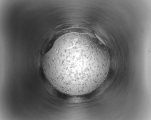 X0000088040413200706011327