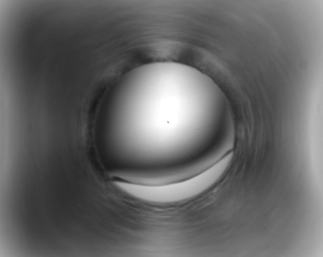 X0000088040416200706011327