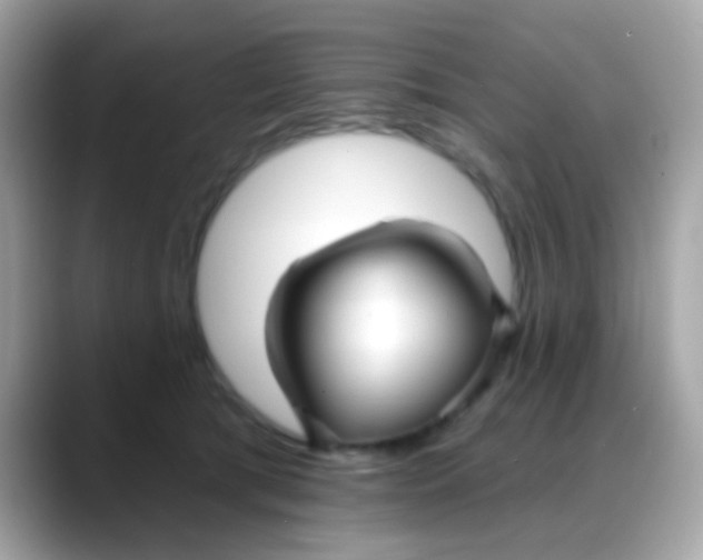 X0000088040417200706011327