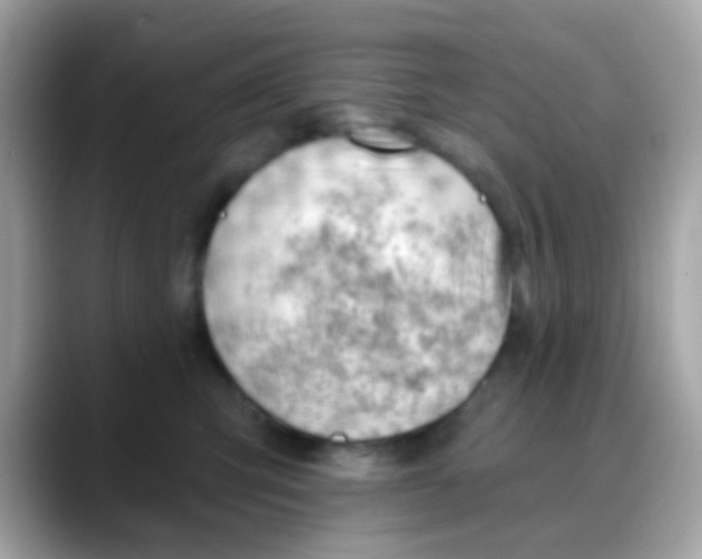 X0000088040423200706011327