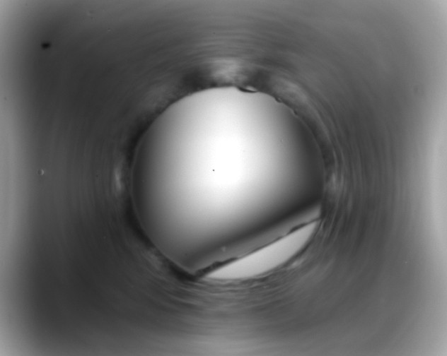 X0000088040424200706011327