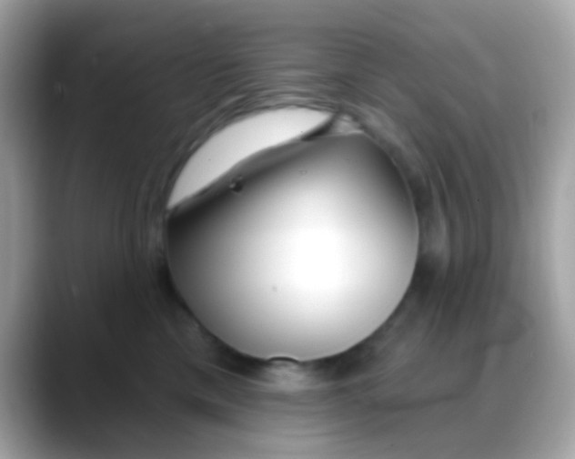 X0000088040425200706011327