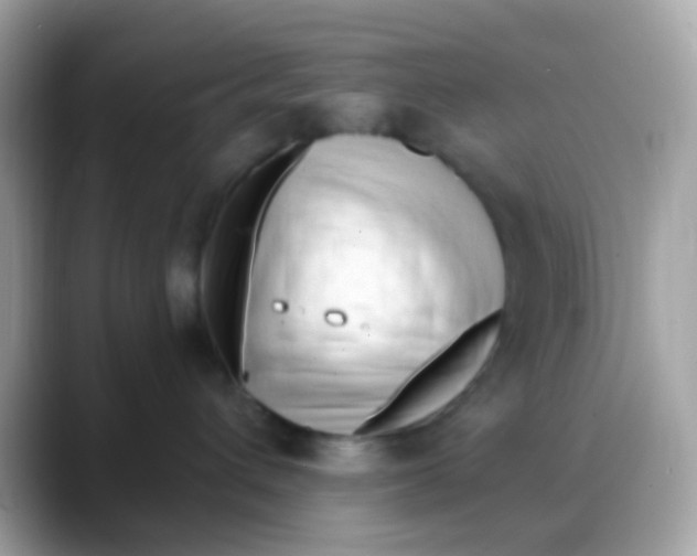 X0000088040432200706011327