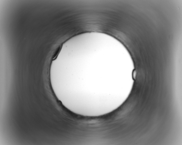 X0000088040433200706011327