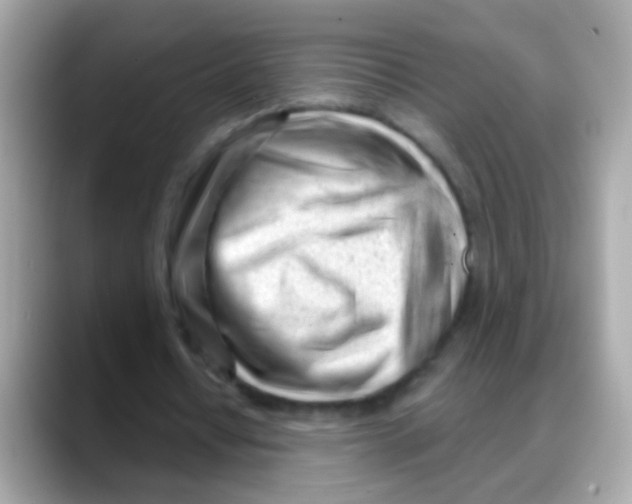 X0000088040434200706011327