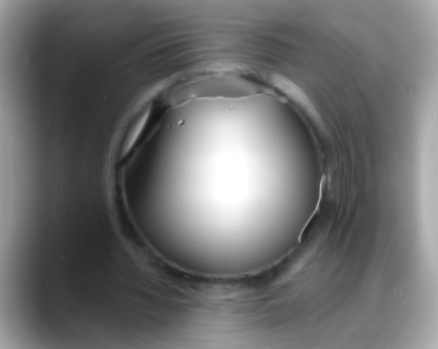 X0000088040436200706011327