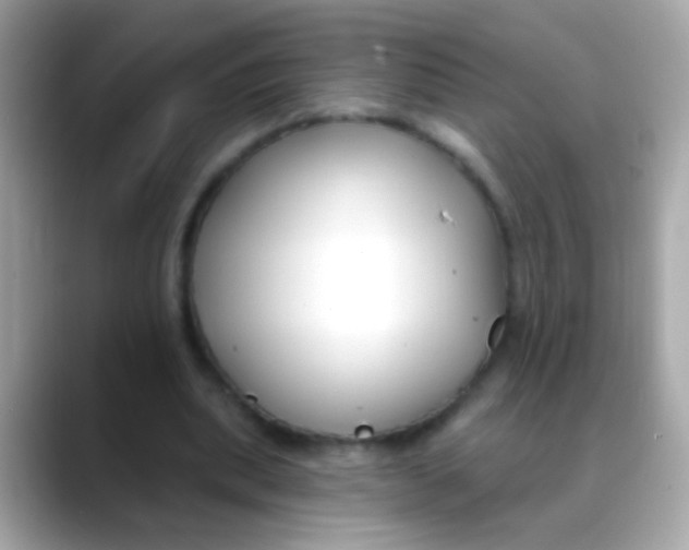 X0000088040439200706011327