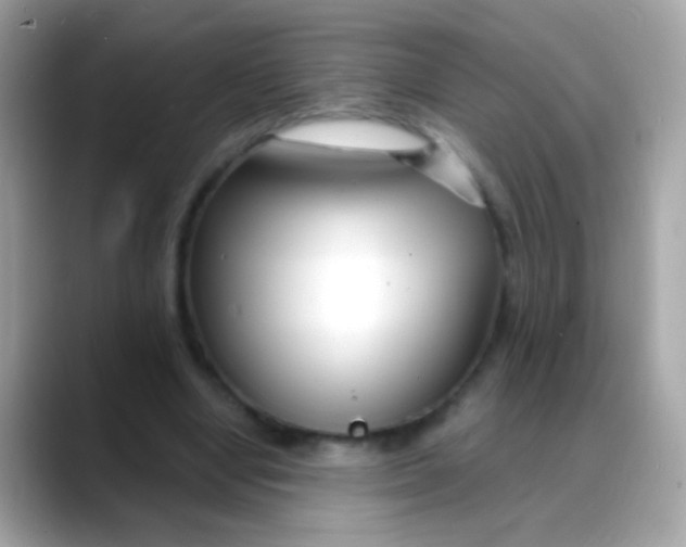 X0000088040442200706011327