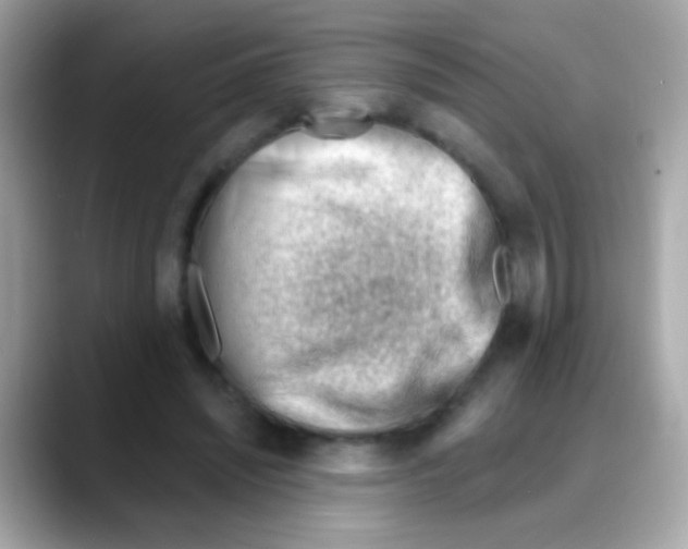 X0000088040444200706011327