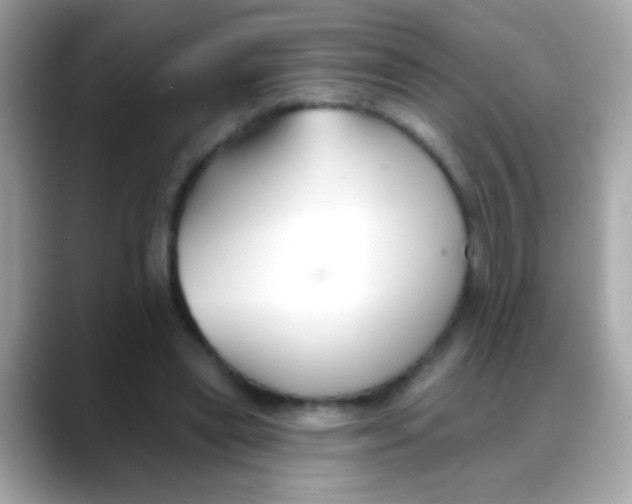 X0000088040445200706011327