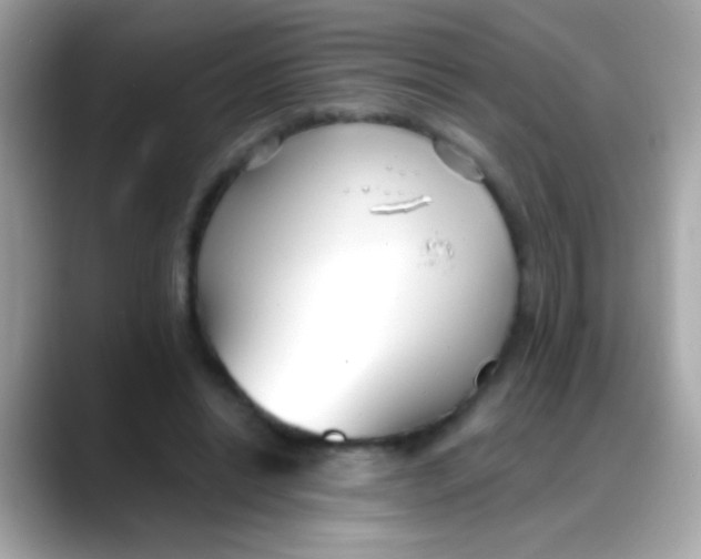 X0000088040446200706011327