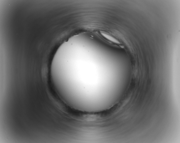 X0000088040448200706011327