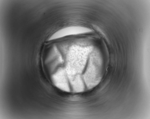 X0000088040451200706011327