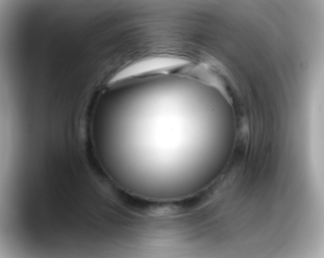 X0000088040452200706011327