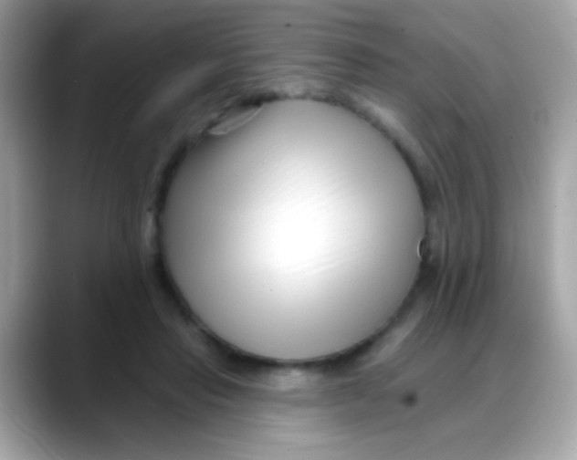 X0000088040453200706011327