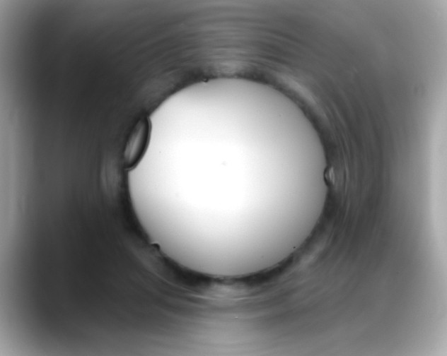 X0000088040455200706011327