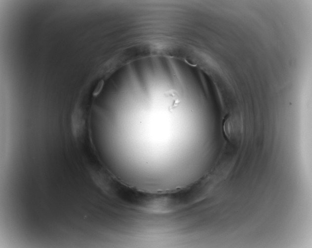 X0000088040456200706011327