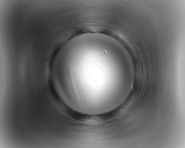 X0000088040459200706011327