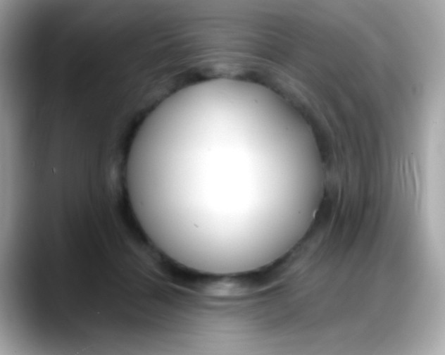 X0000088040460200706011327