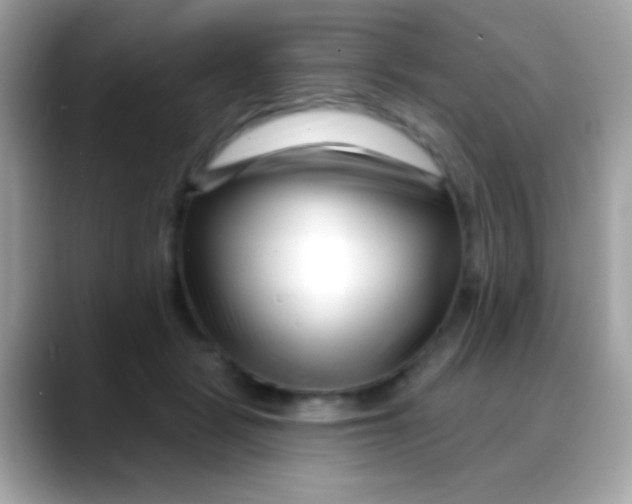 X0000088040461200706011327