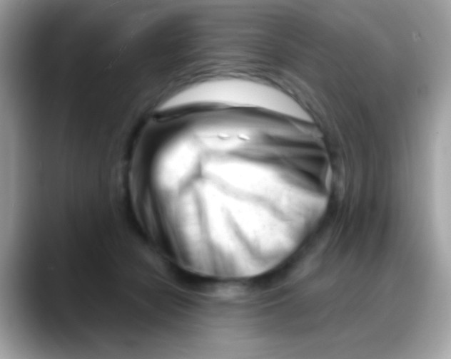 X0000088040462200706011327